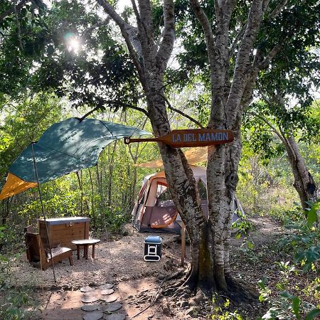 Cayuco Camping Baru Hotel Santa Ana  Kültér fotó