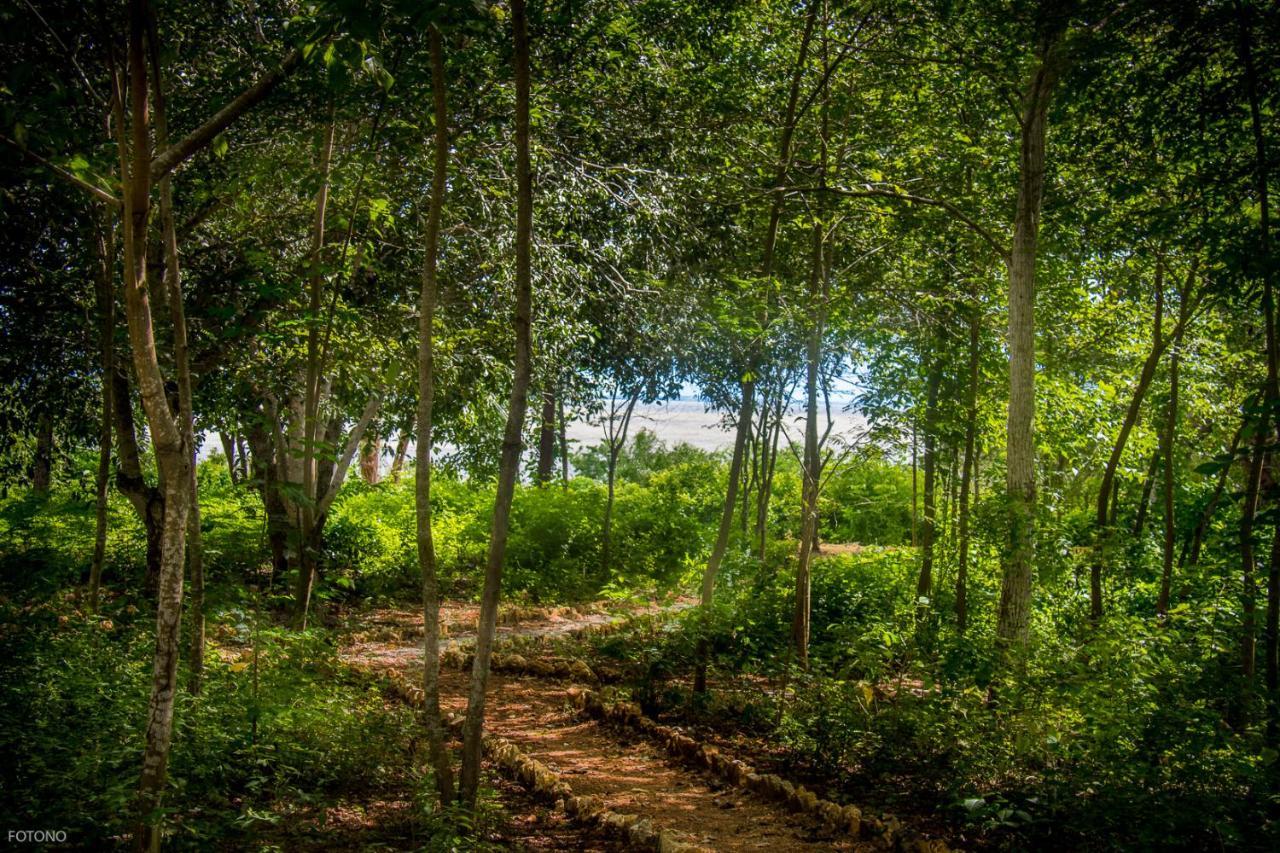 Cayuco Camping Baru Hotel Santa Ana  Kültér fotó